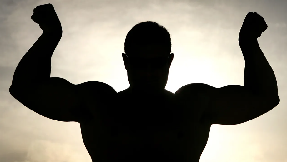 Wellhealth How To Build Muscle Tag