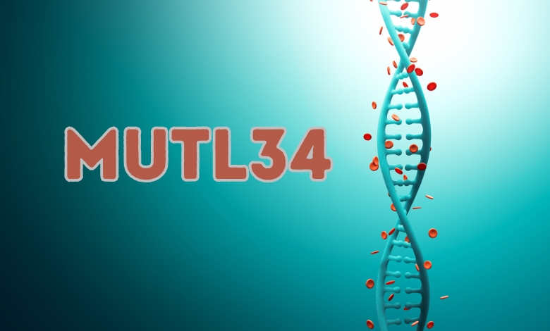 mutl34