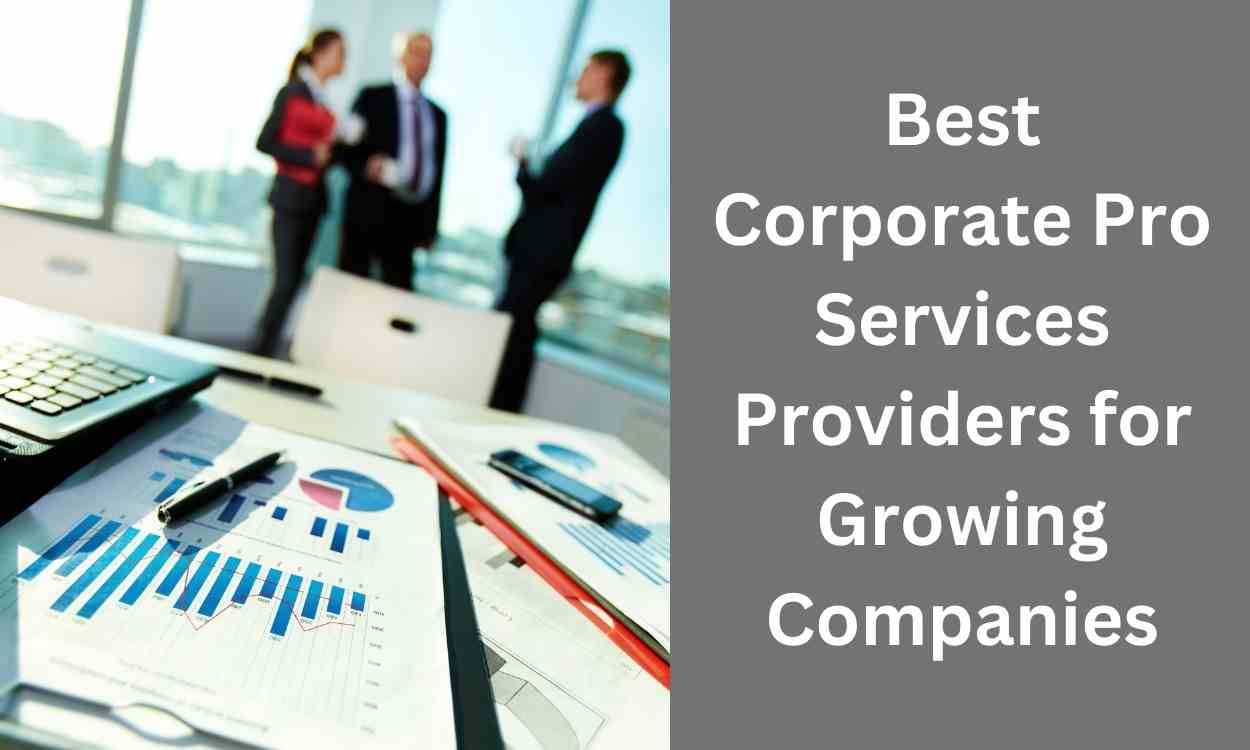 Best Corporate Pro Services Providers for Growing Companies