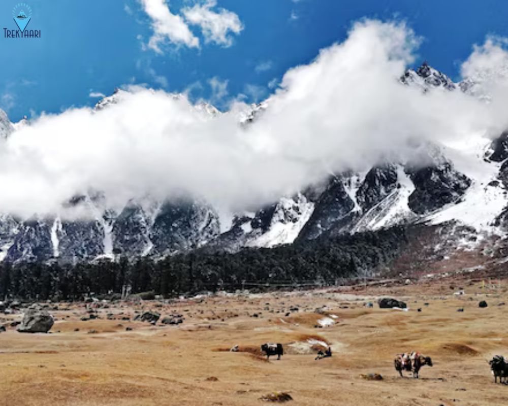 kuari pass trek