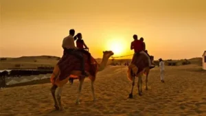 Evening Desert Safari