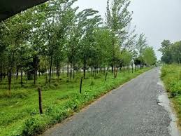 Low Budget Plots in Rudrapur