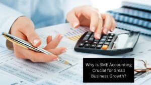 Why Is SME Accounting Crucial for Small Business Growth