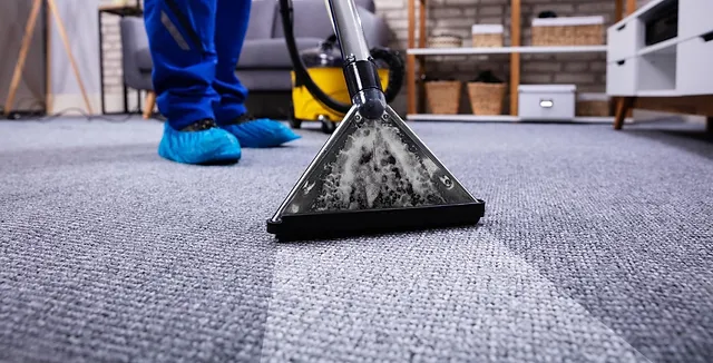 carpet cleaning windsor