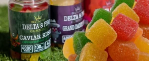 How Delta 10 Gummies Support Everyday Wellness