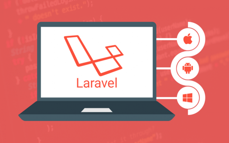 Laravel programmer