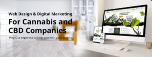 CBD Web Design Company