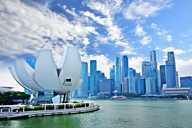 Complete Guide to Singapore Visa Types, Requirements