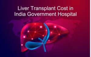 Liver Transplant Cost in India Government Hospital