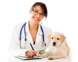 pet vaccination clinic in Regina