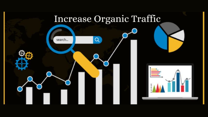 SEO Services, top seo services, boost website online sales, increase organic traffic to your website