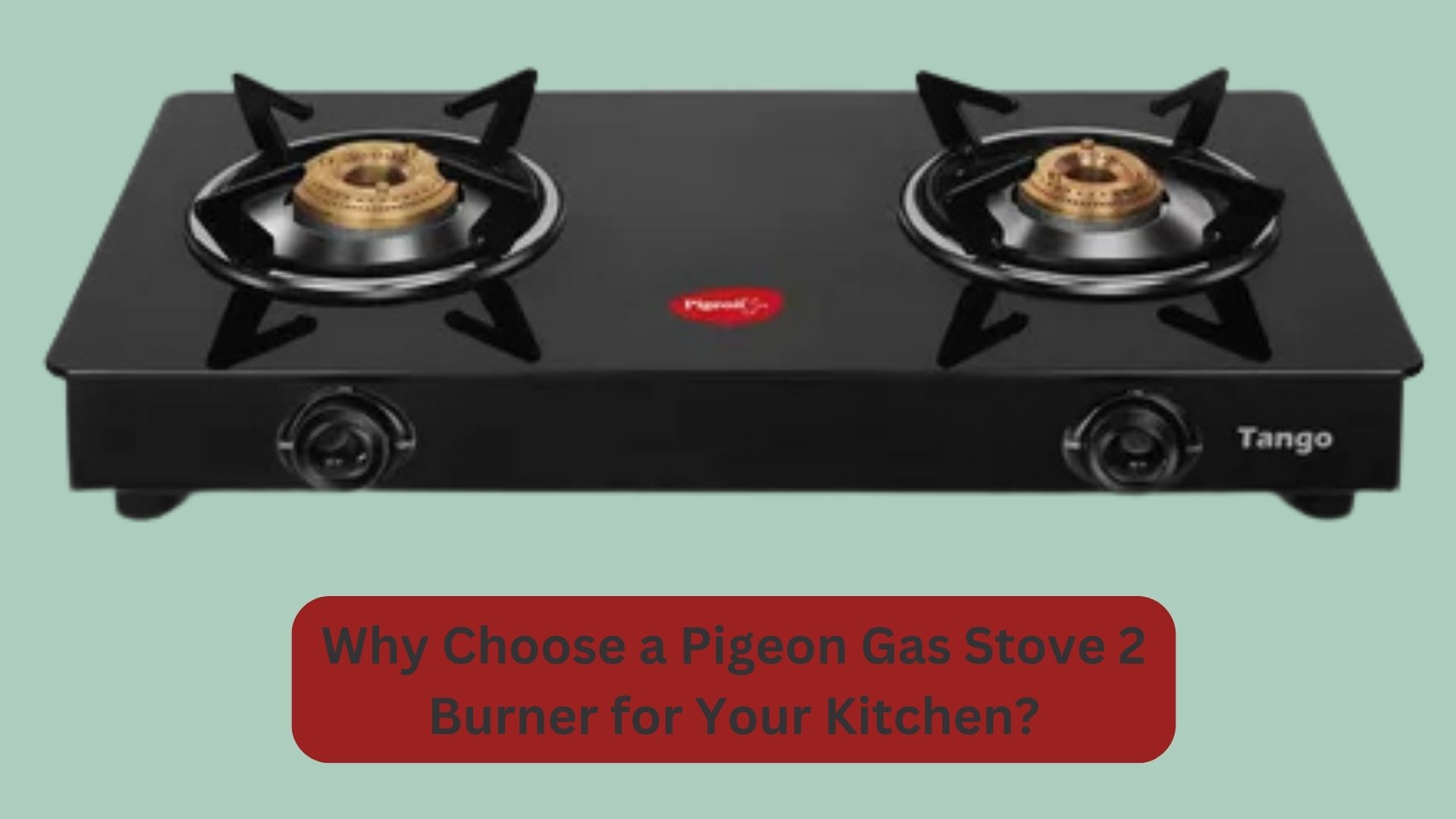 Why Choose a Pigeon Gas Stove 2 Burner for Your Kitchen