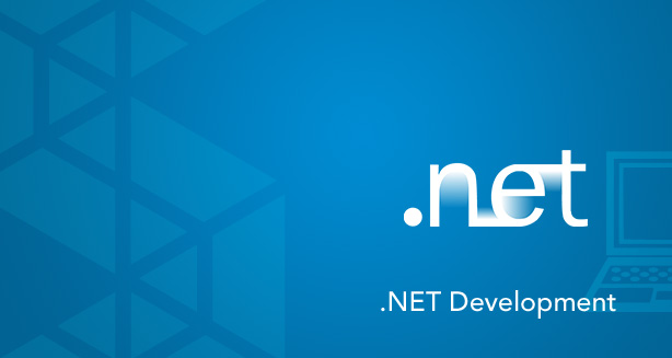 .net development services