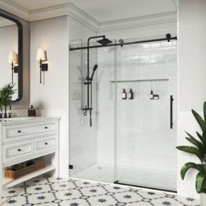 Frameless Shower Door