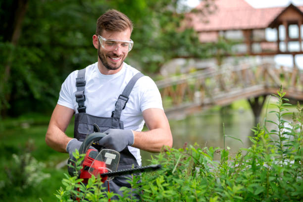 Close-up of a gardener trimming plants and pulling weeds in a well-maintained garden, showcasing proper garden care and maintenance.