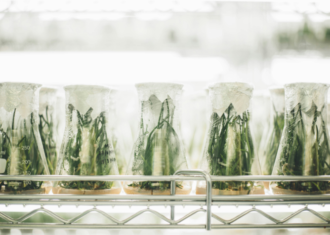 Beverage Testing Institute Whiskey Trends: The Science of Flavor