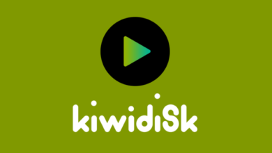 KiwiDisk