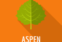 Aspen MHRD