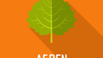 Aspen MHRD