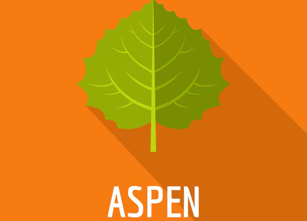 Aspen MHRD