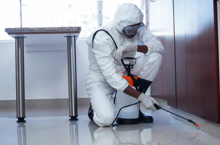The Ultimate Guide to Year-Round Pest Control