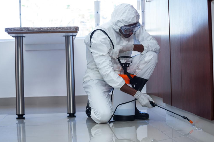The Ultimate Guide to Year-Round Pest Control: Keeping Your Home Bug-Free in Every Season